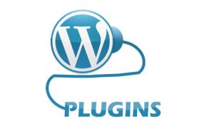 افزونه اورجینال وردپرس در دلین وردپرس